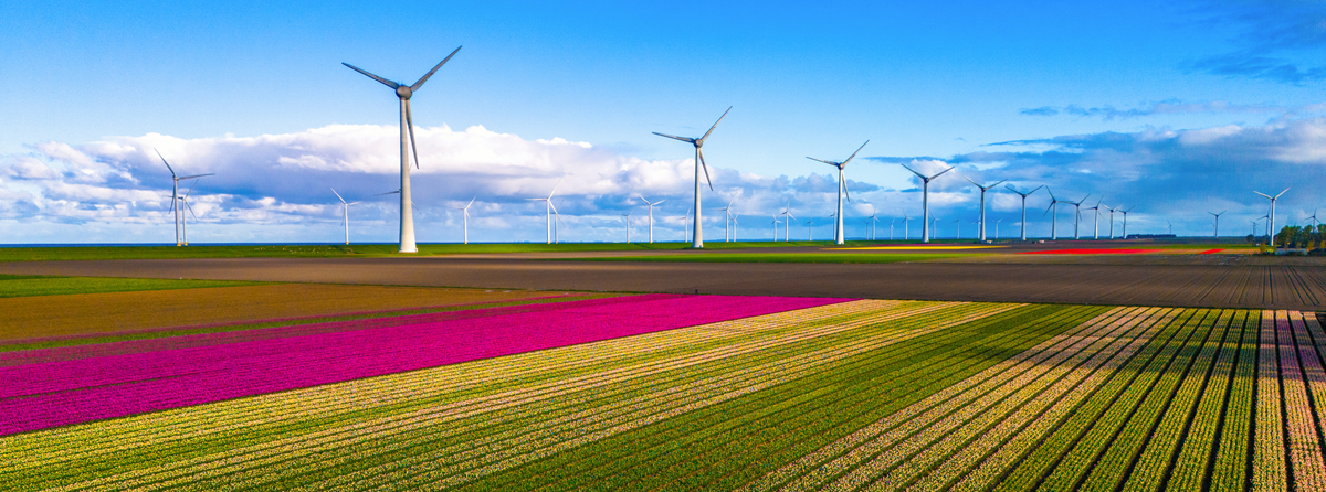 DERMs Flexible Interconnection Guide