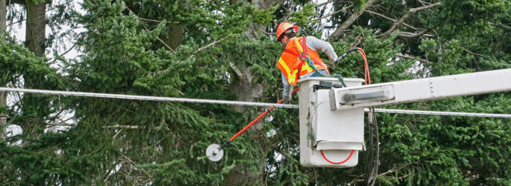 AI Powered Vegetation Management